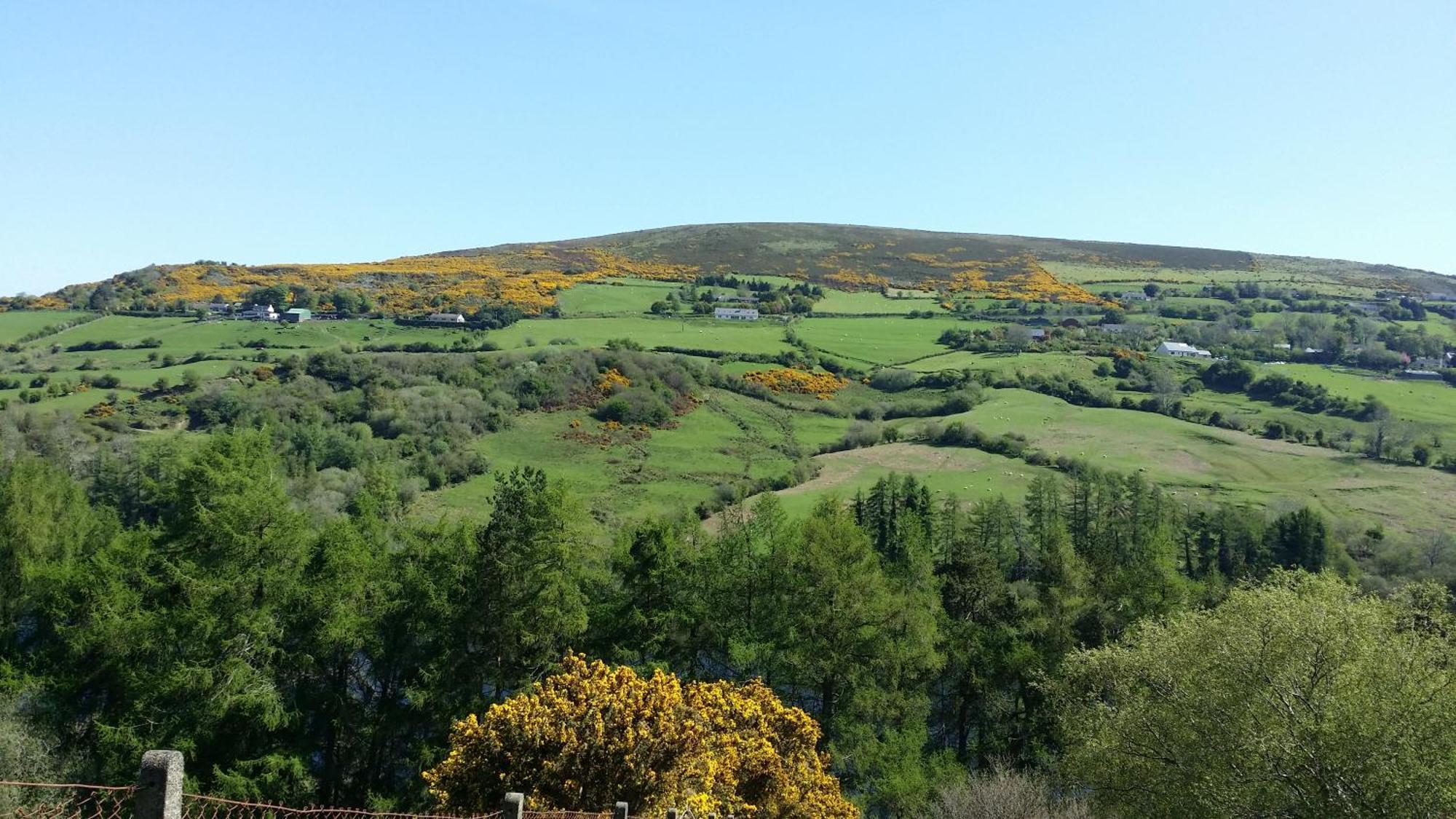 Barnoaks House - Private Room Ensuite Bathroom Homestay Dublin Luaran gambar